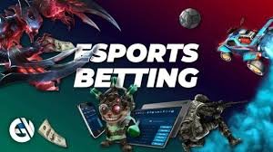 7v777 guide page showing privacy and account safety alongside cricket and casino topics